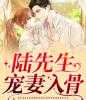 全集小说他把和她结婚当任务小说美文赏析