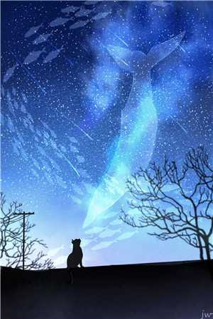 畅销书籍予你星河