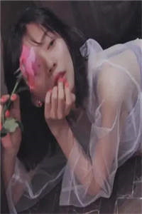 良心推荐《穿成霸总妻，我炮灰碾压女主角！》师绯叶秦不俍全集免费阅读_《穿成霸总妻，我炮灰碾压女主角！》最新章节免费在线阅读