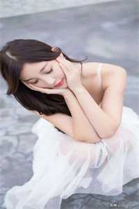 全集小说苏落殷辰