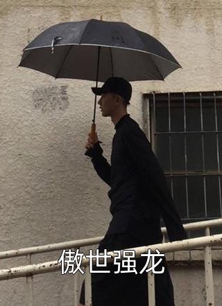 小说李天阳洪七全文版
