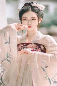 宁鸢 陆晋南小说免费长篇小说