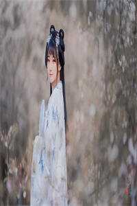 穿越仙界第一炼丹师横行税务局小说精品选集