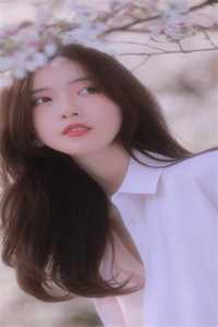 虞茗杨璟之完结版免费阅读大结局