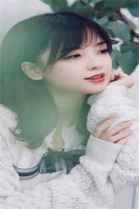 畅销小说推荐李慕儿林海少说