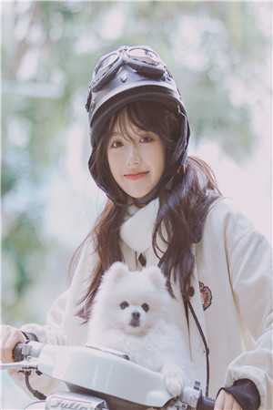 全文版已有佳妻，校花你快放手吧
