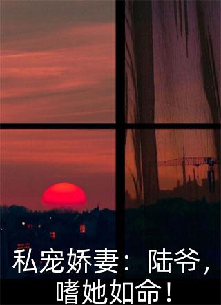 陈若澜姜晟免费小说全集
