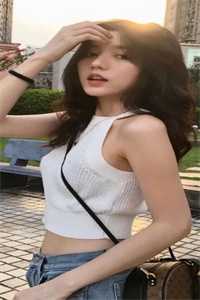 宋清窈秦恒昭小说全集小说