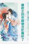 畅销小说傅心悦清清