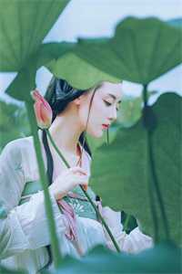 穿成虐文女主角小说免费