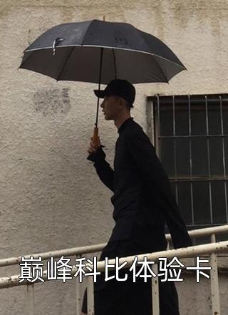 高质量小说陶枝宋疏迟