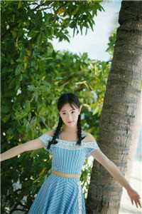 陆总，夫人说这婚迟早要离精选全文