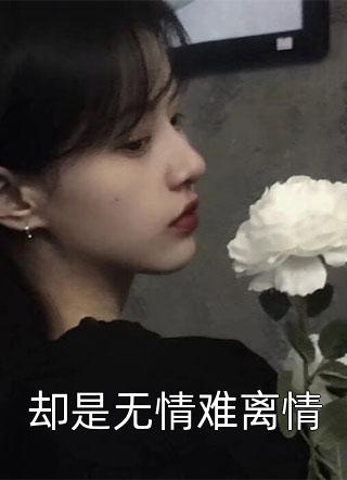 精选小说雨下玫瑰
