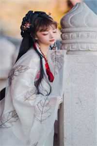 畅读精品小说渣男宠妾灭妻？她二嫁太子