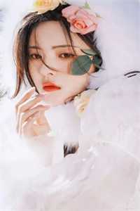 全集小说阅读夜色柔情
