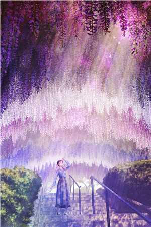 全本小说重生之鹏程万里