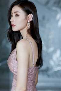 精品小说倾城太子妃：今天又被太子追着跑