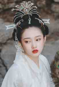 畅读佳作宠妃她只想当咸鱼