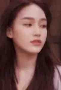 全集小说推荐人在兽世，开局被狂野雄性倒追