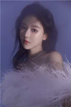长篇小说阅读妻子的隐秘