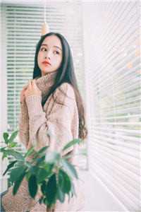 畅销巨著离婚就崛起，冰山女总裁悔断肠