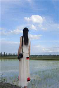 商渺盛聿《替嫁新娘跑路后，霸总追妻火葬场了畅读全文版》全文免费阅读_替嫁新娘跑路后，霸总追妻火葬场了畅读全文版全集在线阅读