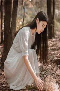 背叛推理：完美妻子背后的秘密畅销小说推荐