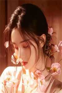 阅读全集官运：从遇到美女书记开始