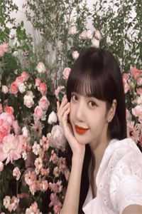 苏月影陈默