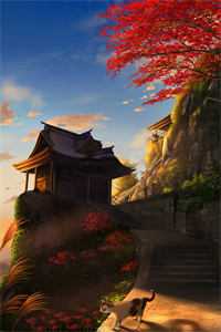 怀上