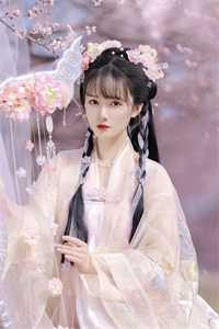 红楼之公子逍遥贾政免费阅读小说