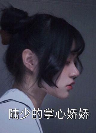 太阳的背面畅读全文