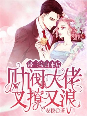 陆延林安宋菲菲换名字的小说叫什么