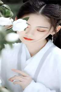 竺荩互凌镡艺《他自己杀了他老婆》全文免费阅读_他自己杀了他老婆全集在线阅读