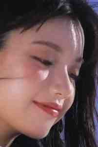 从前种种，譬如昨日死全章节阅读