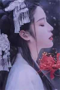 余音归来小说
