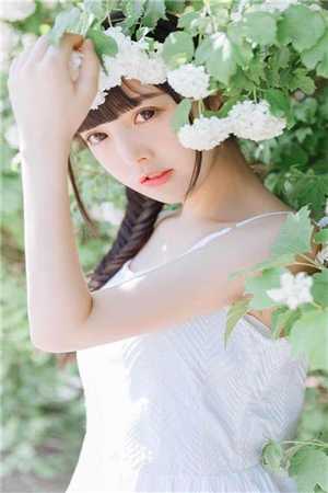 叶夕瑶贺宴辞写的小说晓月拂流年
