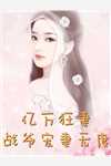 小说你是恩赐也是劫苏落楚亦南全章节免费阅读
