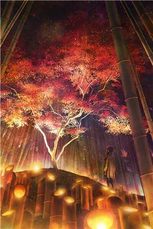 寒夜泊舟小说几番离合，便成迟暮(沈淮遇姜岁岁)全文免费阅读_寒夜泊舟完整版免费阅读