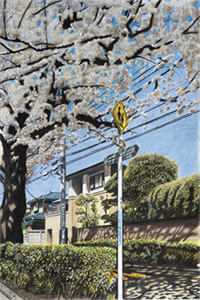 穿书年代，炮灰原配携崽随军去啦安婳肖政无删减全文