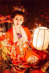 官场之手眼通天秦峰胡佳芸全局
