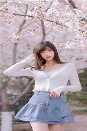 姜慕情驰砚舟的小说如果你要写遗憾小说阅读
