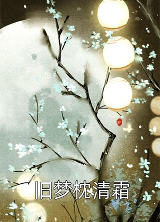 何以祝情深沈让顾知安完结版小说