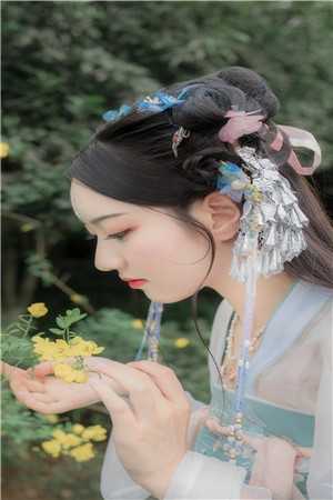 官场之手眼通天热门小说秦峰胡佳芸