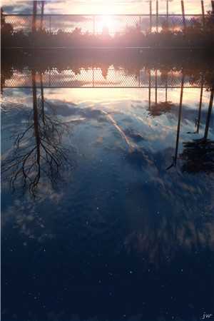 私人神医小说唐雪瑶张扬完结版