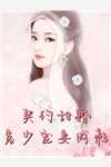 妻子逃婚后，我下定决心选了她小说全文免费阅读苏颜叶陵