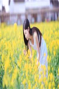 春江无明月全文慕容影花魁