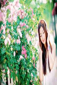 太子退婚娶孤女后，悔疯了元安沈云锦小说结局