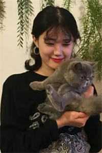 真千金踩缝纫机还被逼联姻曦曦陈矜