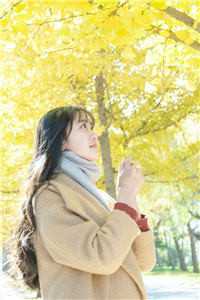 未见青山老无删减 无广告